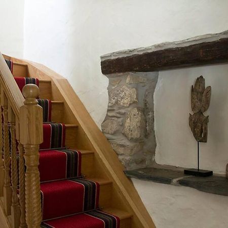 Ty-Hapus Cottage Jordanston Εξωτερικό φωτογραφία